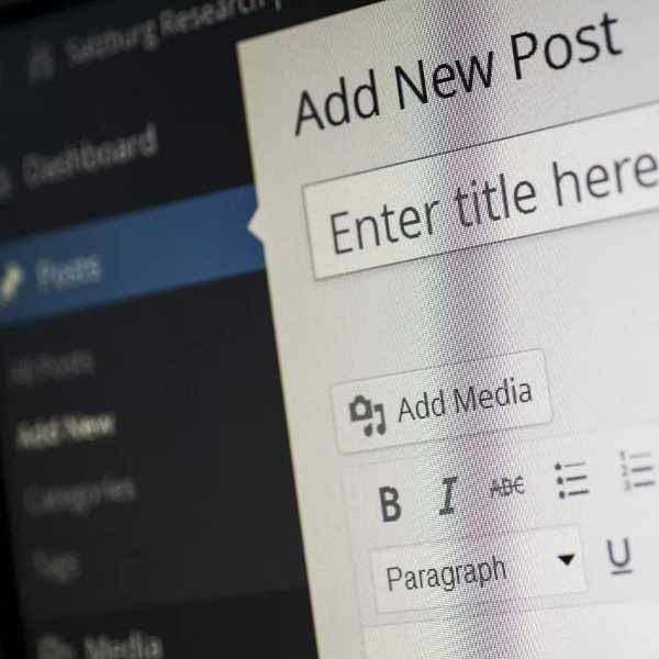 The Top 6 Reasons to Pick a WordPress Website in 2024