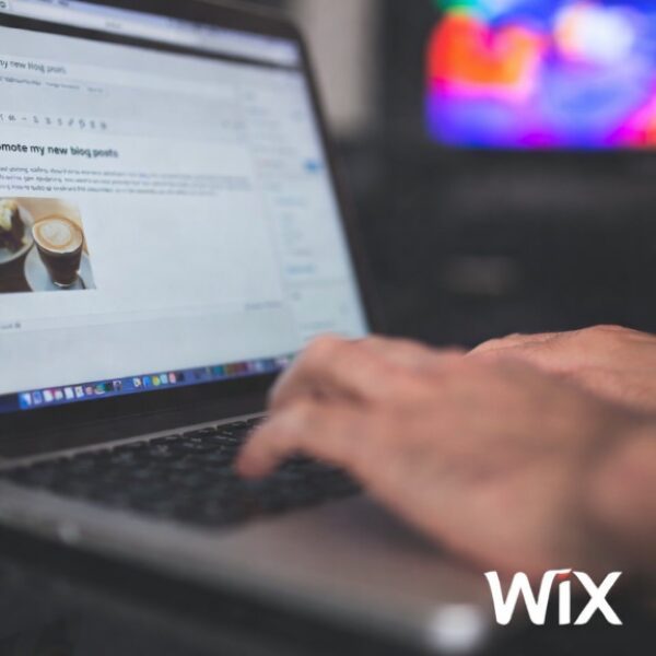 Using Wix for Your Small Business - you do not have to do it alone