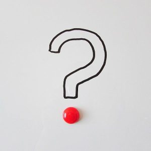 Small business owner choosing a web designer for a WordPress website