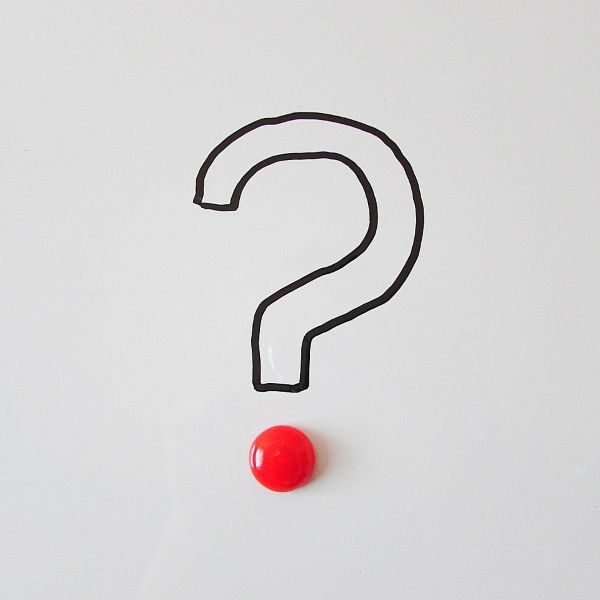 Small business owner choosing a web designer for a WordPress website